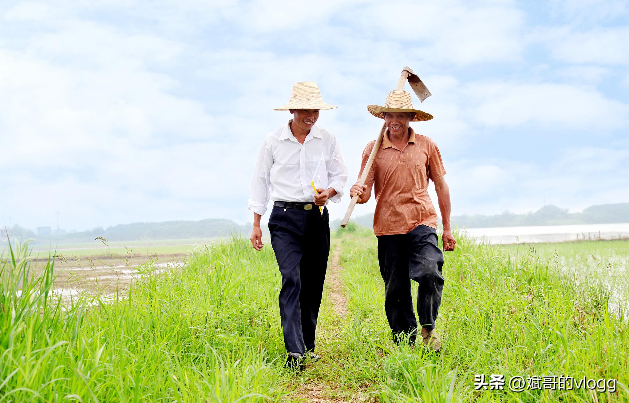 农民闯市场指南,农民如何闯市场