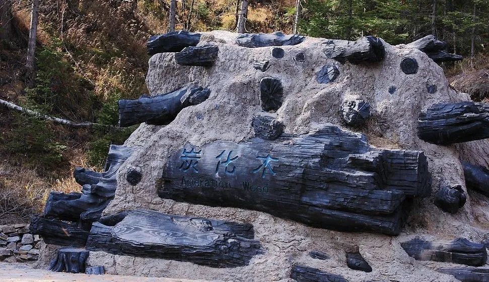 长白山北景区和南景区哪个更好玩,长白山选西景区还是北景区