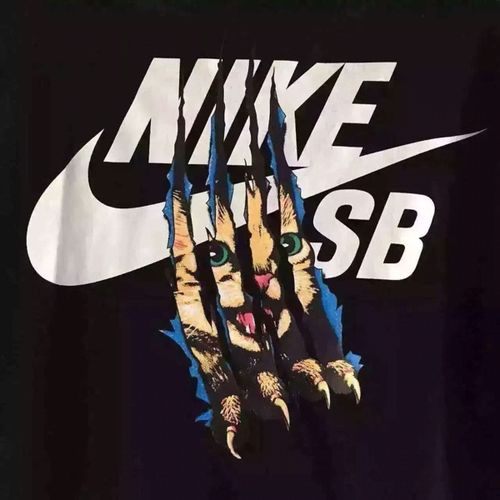 全球运动品牌排行榜前十名图片,十大最好的运动鞋品牌