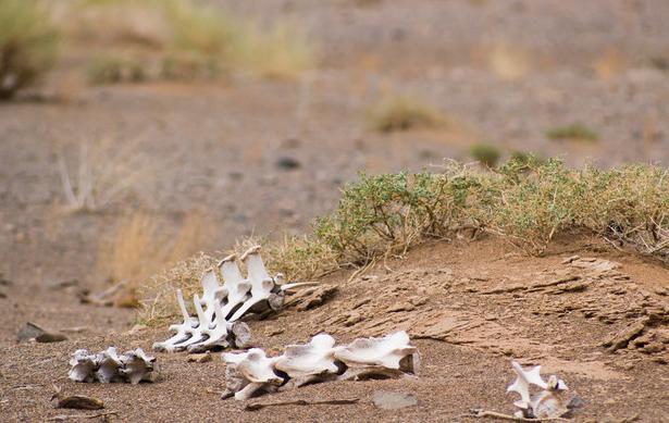 浙江龙泉发现古墓,深山发现古墓宝藏
