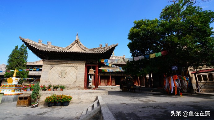 82战疫·甘：妙因寺、雷坛——永登连城镇