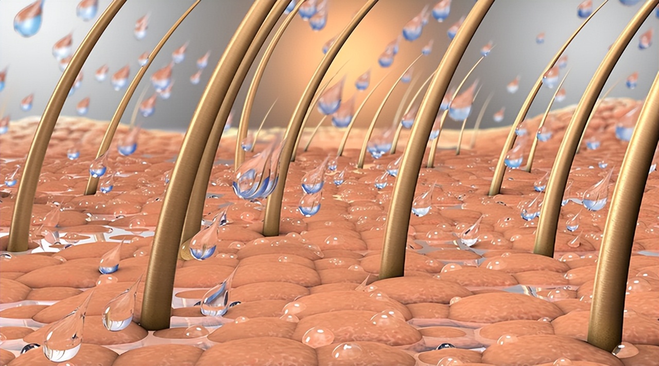 头皮上经常长脓包和疙瘩,是怎么回事?医生:或和这3种问题有关