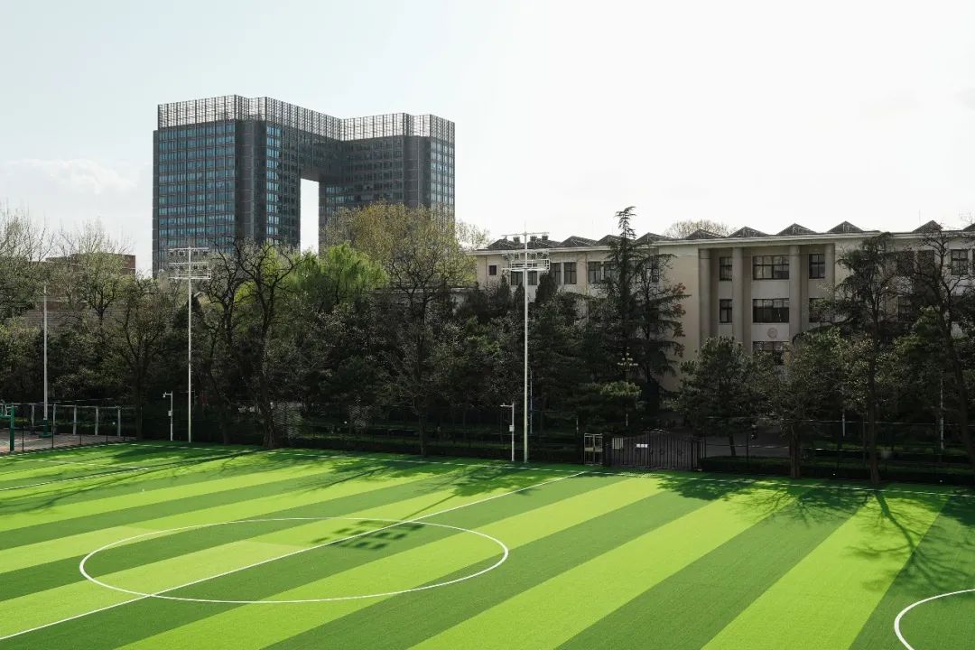 足球场改造扩建,最新足球场开放