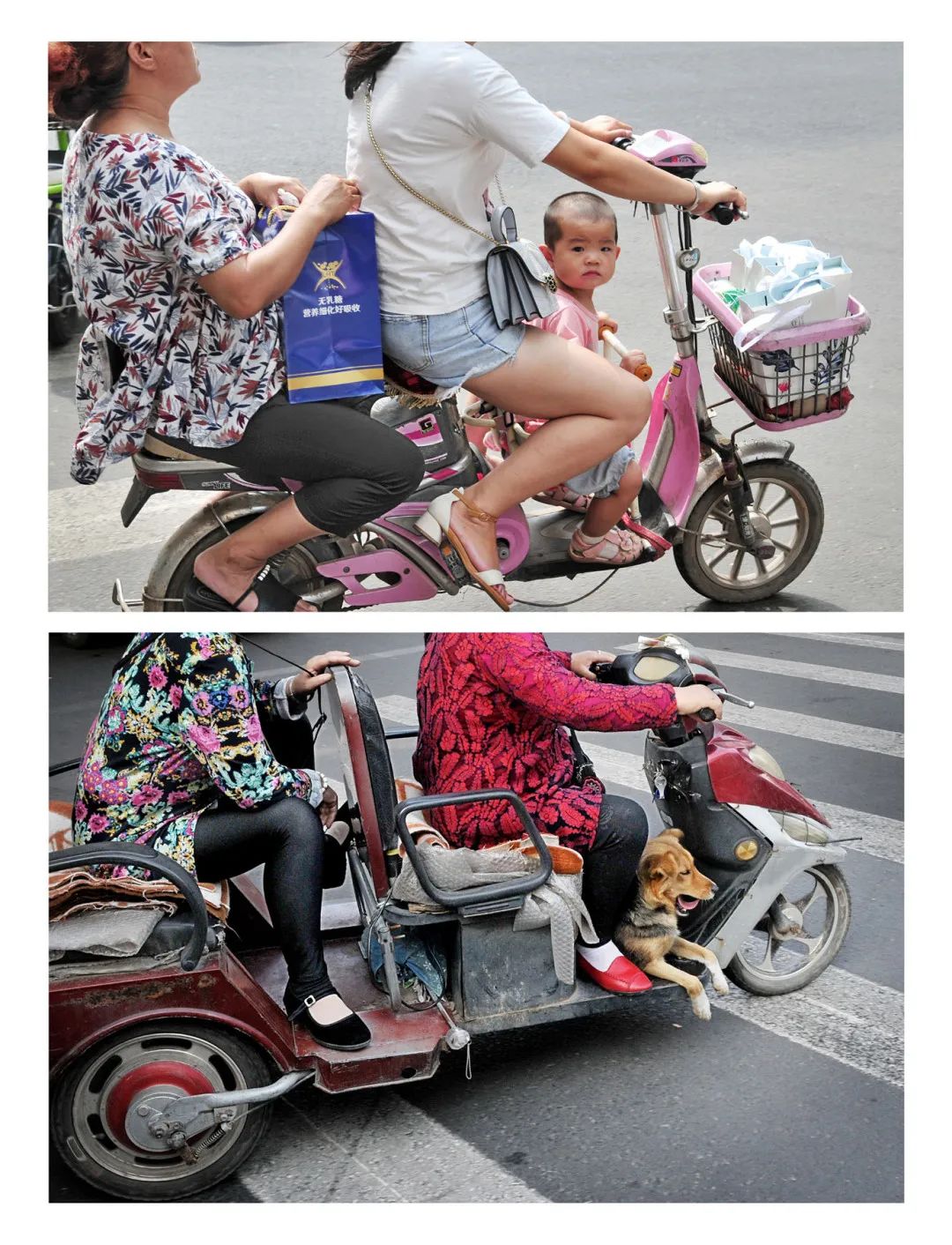 迎接党的20大美术作品,喜迎二十大乡村摄影展