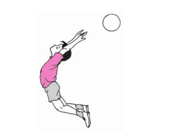 排球的基本技术有哪些,排球基本技术有哪些