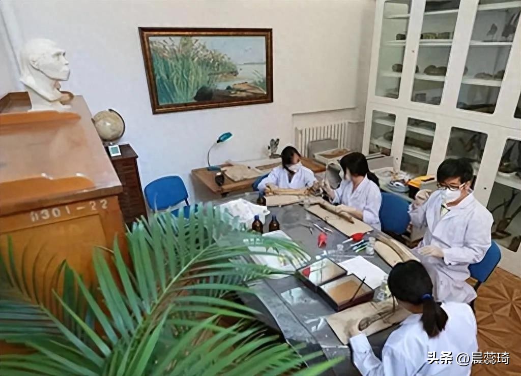 北大“唯喵喵”系，一人请假，全校放假，十多个教授教一个学生