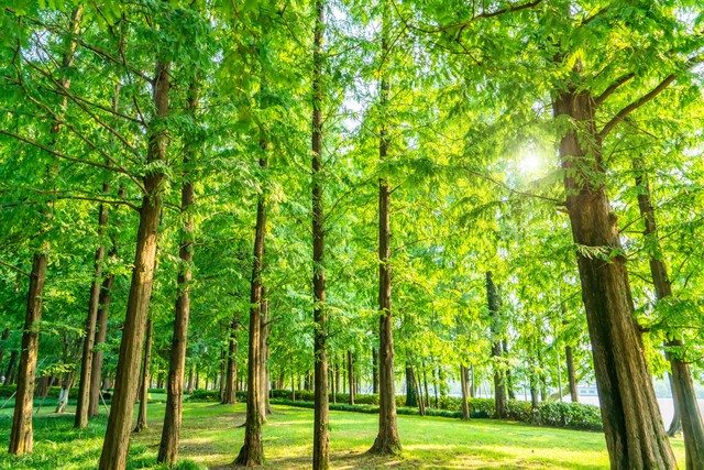 文学评论精短范文赏析,文学评论的内涵