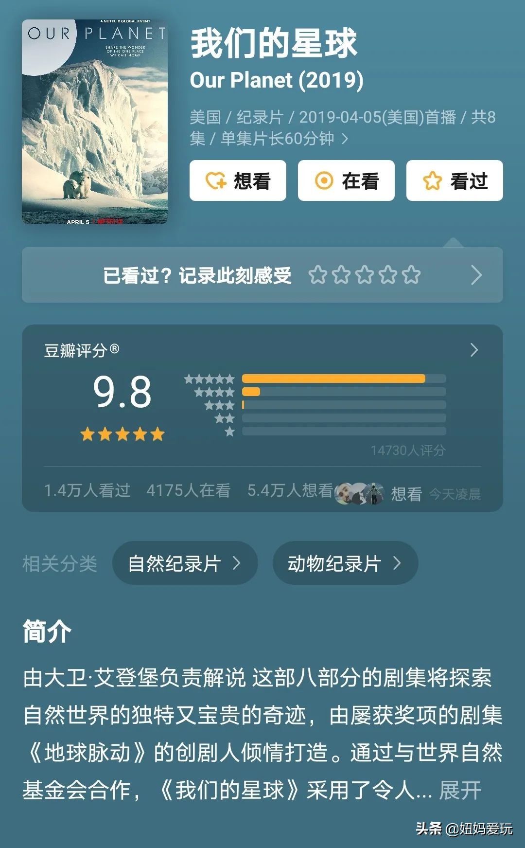 带你真切看人间的宝藏纪录片top10,十一长假适合带孩子看的纪录片