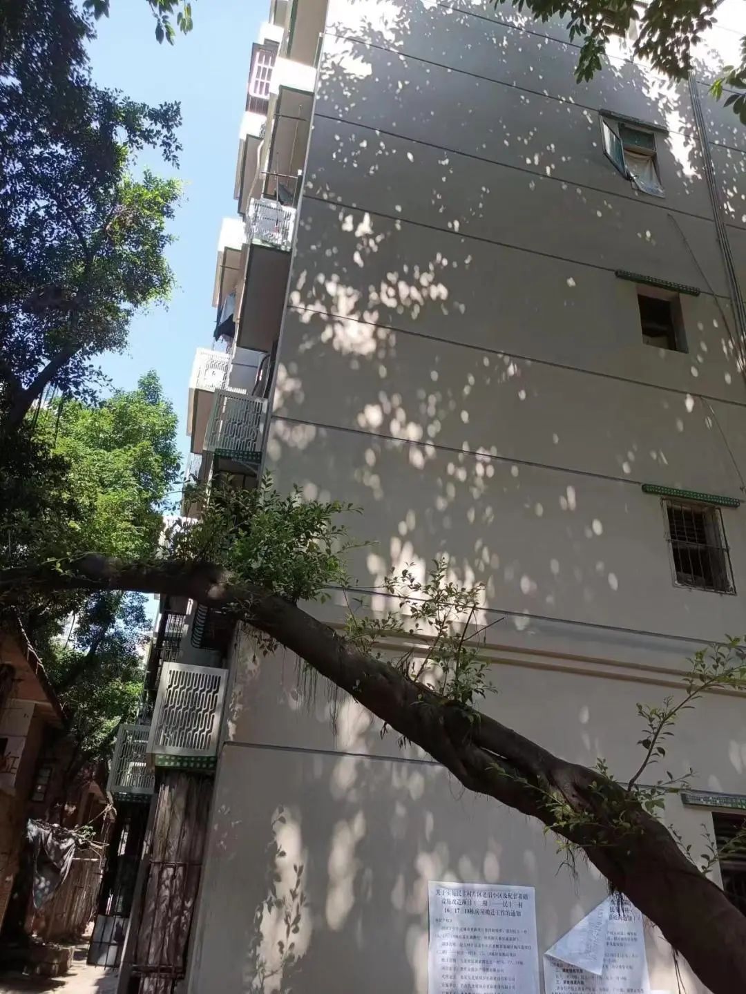 杨家坪民主村改造修建什么,杨家坪民主村拆迁二期