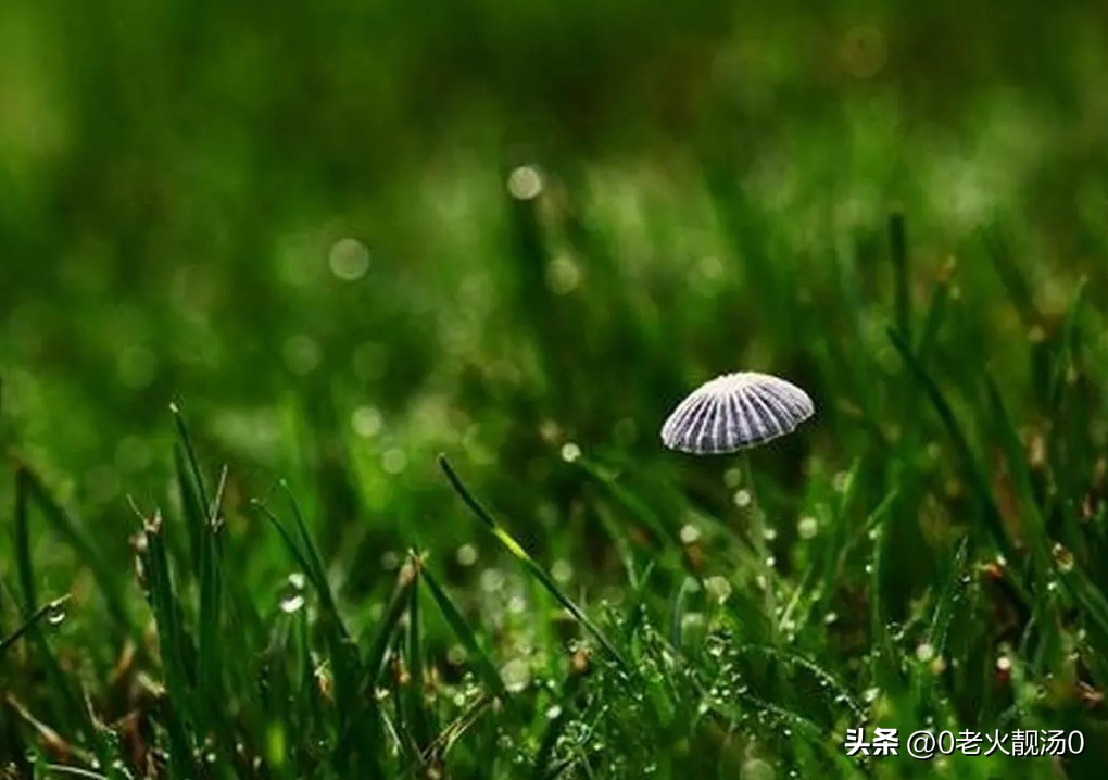 一位成功的创业者的素质怎样培养,一个优秀的创业者需要具备的素质