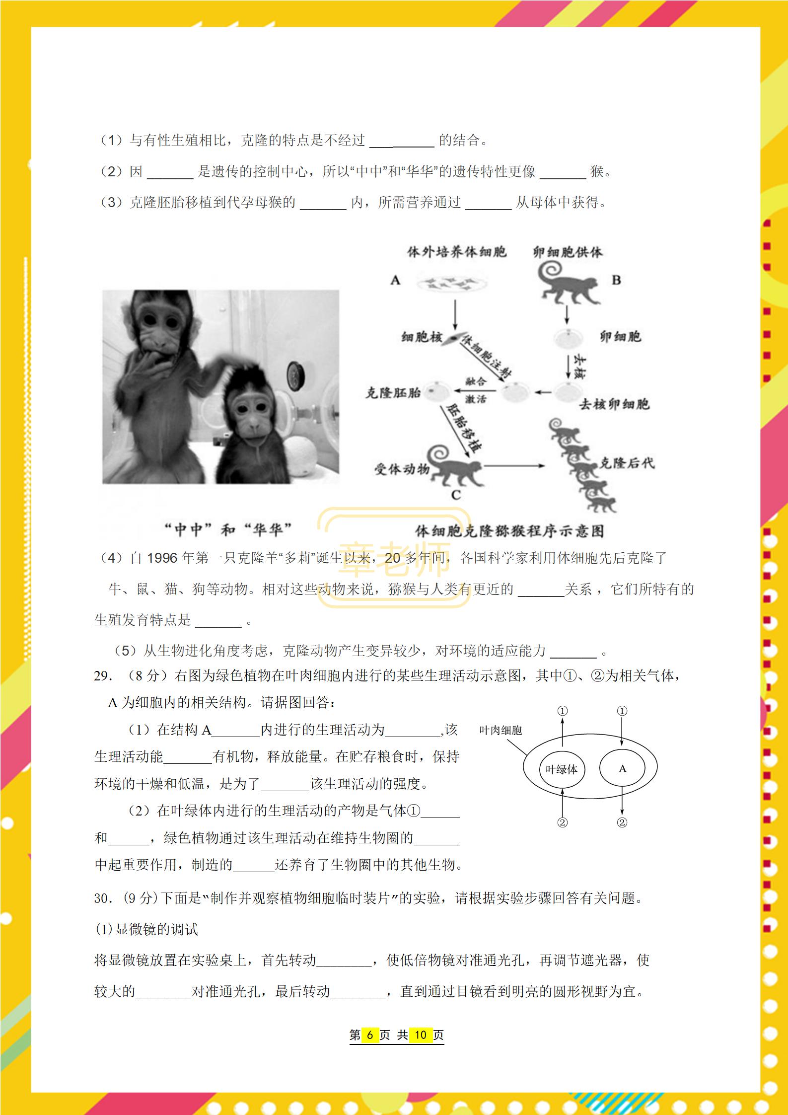 高考生物二轮复习重点及高分策略,生物总复习初中答题技巧