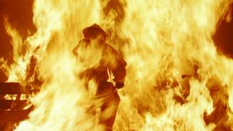 死去的生物突然开始攻击我,人类死亡后细胞拼命自救