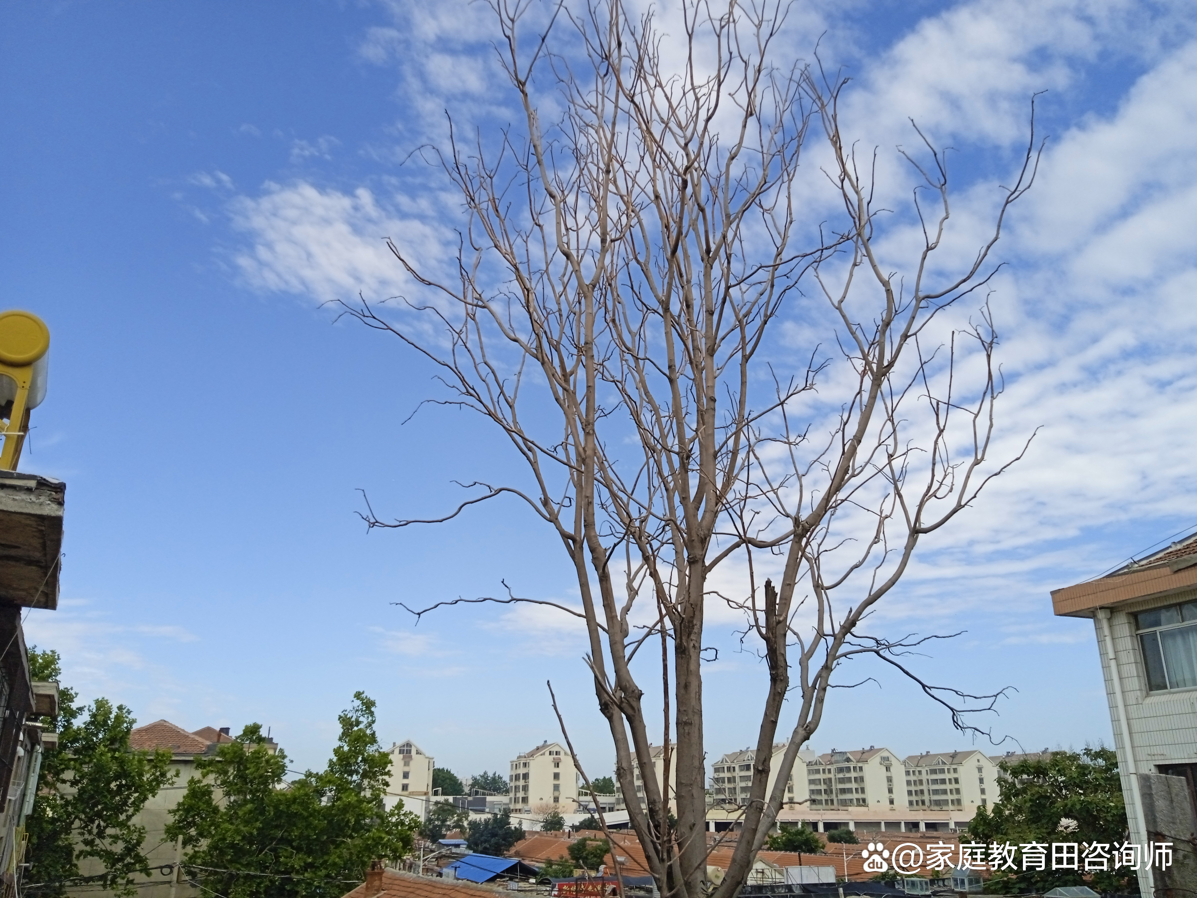 小孩晚睡教育引导方法,孩子晚睡怎么教育