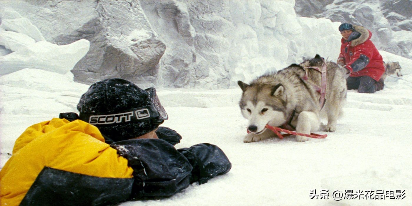 10部悲伤电影,悲伤的狗狗经典影视剪辑