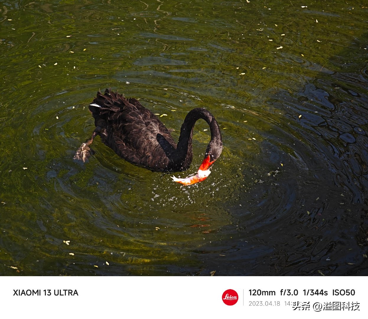 小米13ultra视频功能介绍,小米13ultra视频功能深度测试