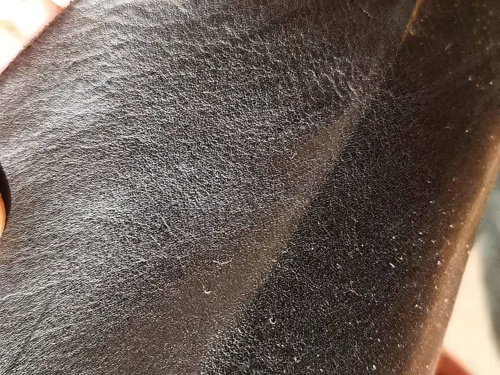 如何分真假头层牛皮,皮料鉴定最快方法