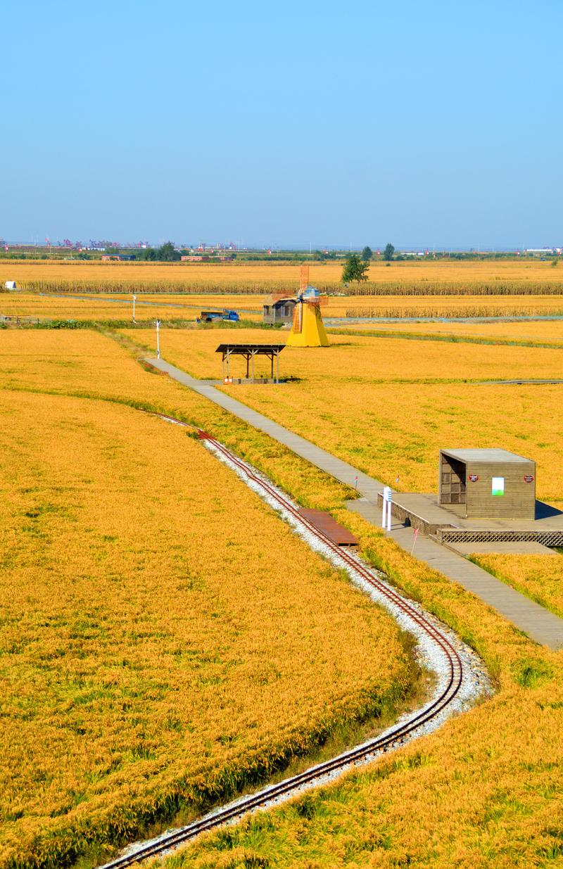 辽宁盘锦在哪个地方,去盘锦旅游哪里好