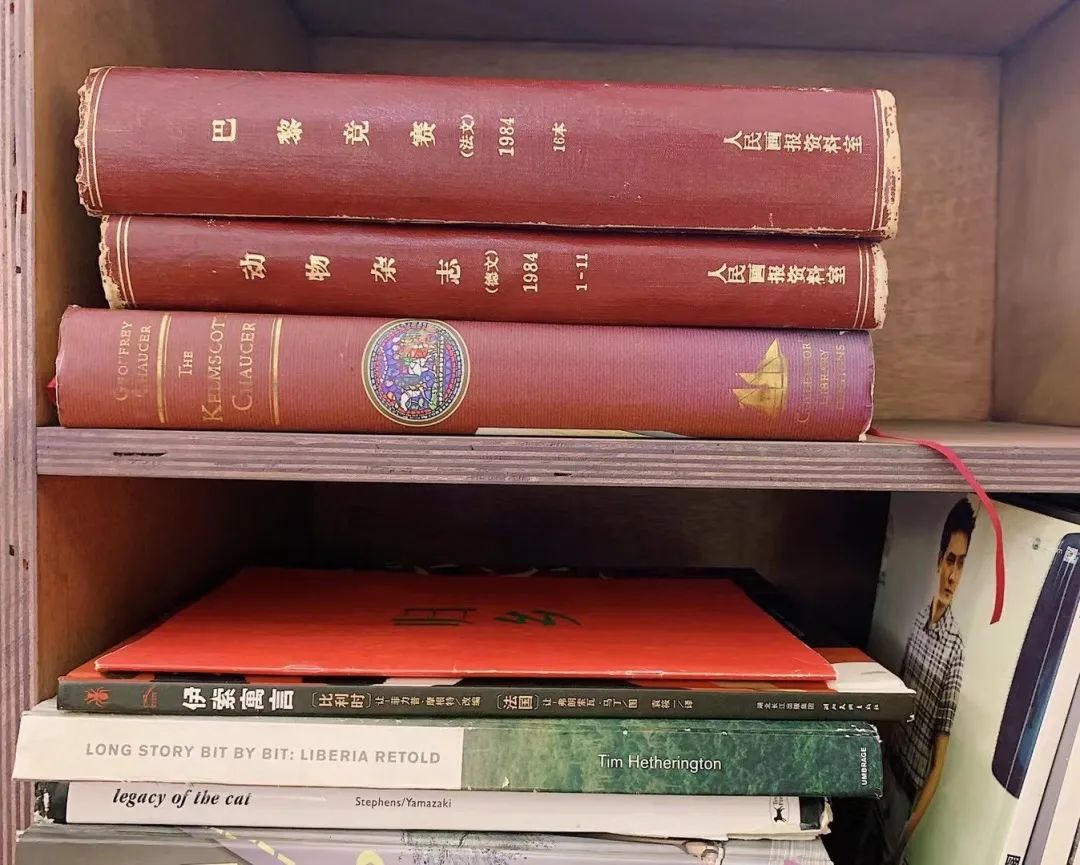 灏忓竷鎽勫奖鍥㈤槦,灏忓竷鎽勫奖