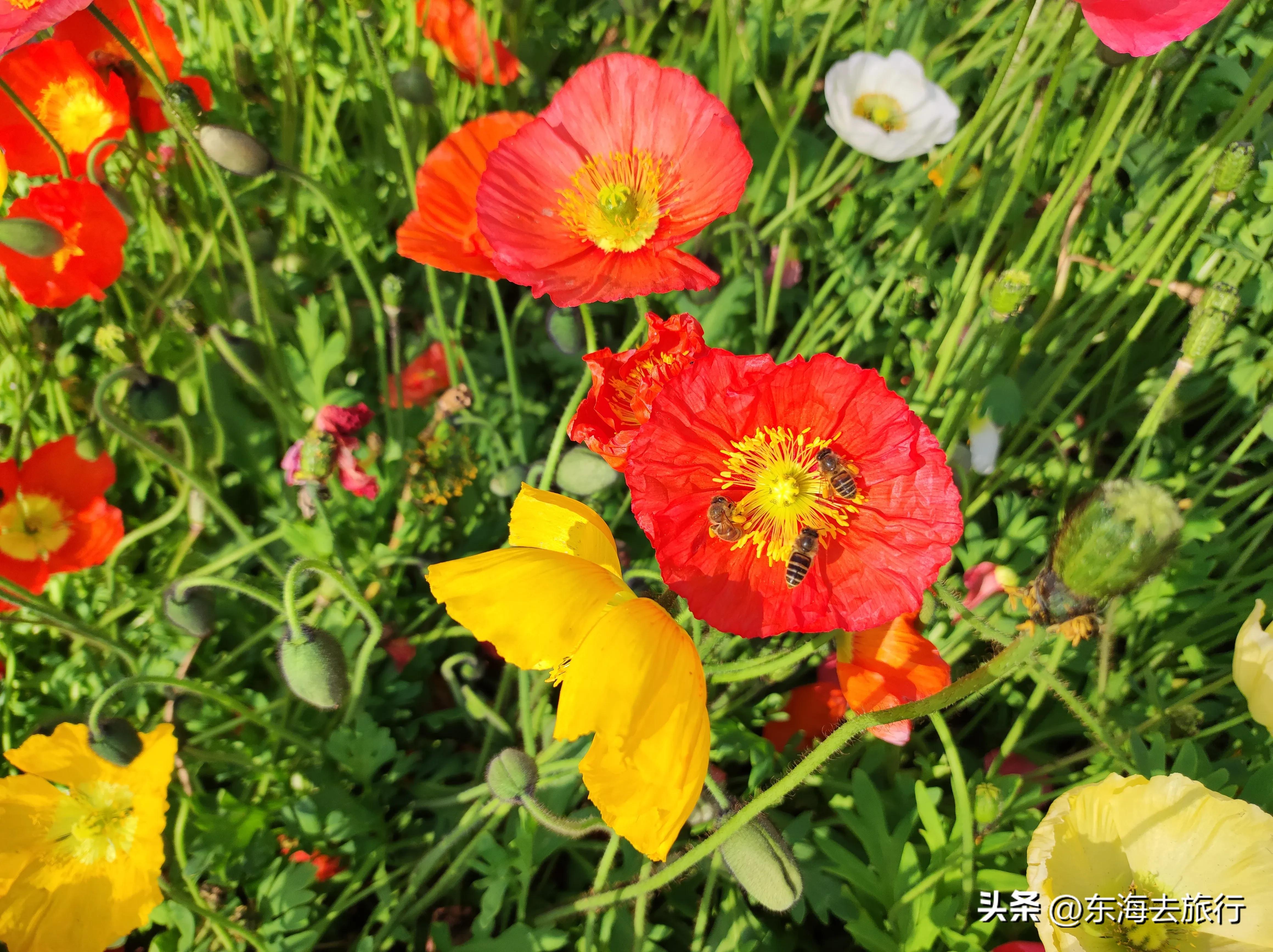 去云南昆明必去景点推荐理由,云南昆明旅游必去的地方推荐