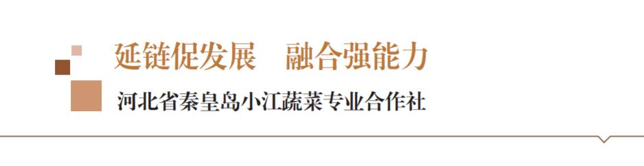 小江蔬菜合作社,小江蔬菜合作社图片