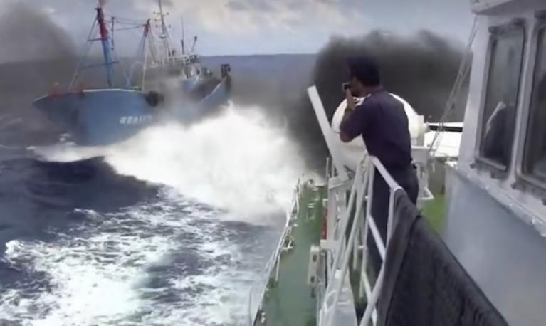 船长詹其雄直播带货,中国船长詹其雄直播嘉年华