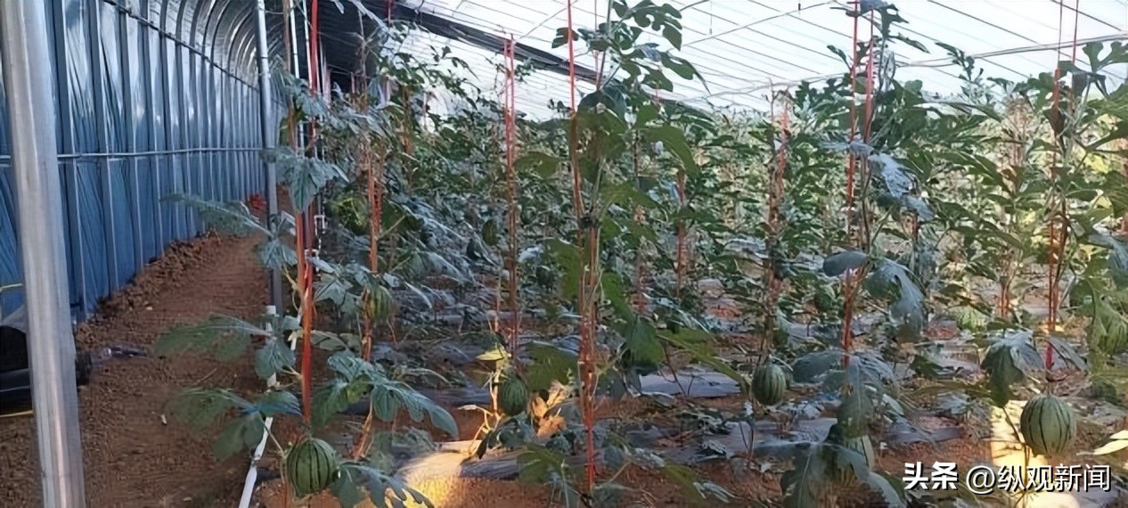 镇平美丽乡村路带动交旅融合发展,镇平最美乡村