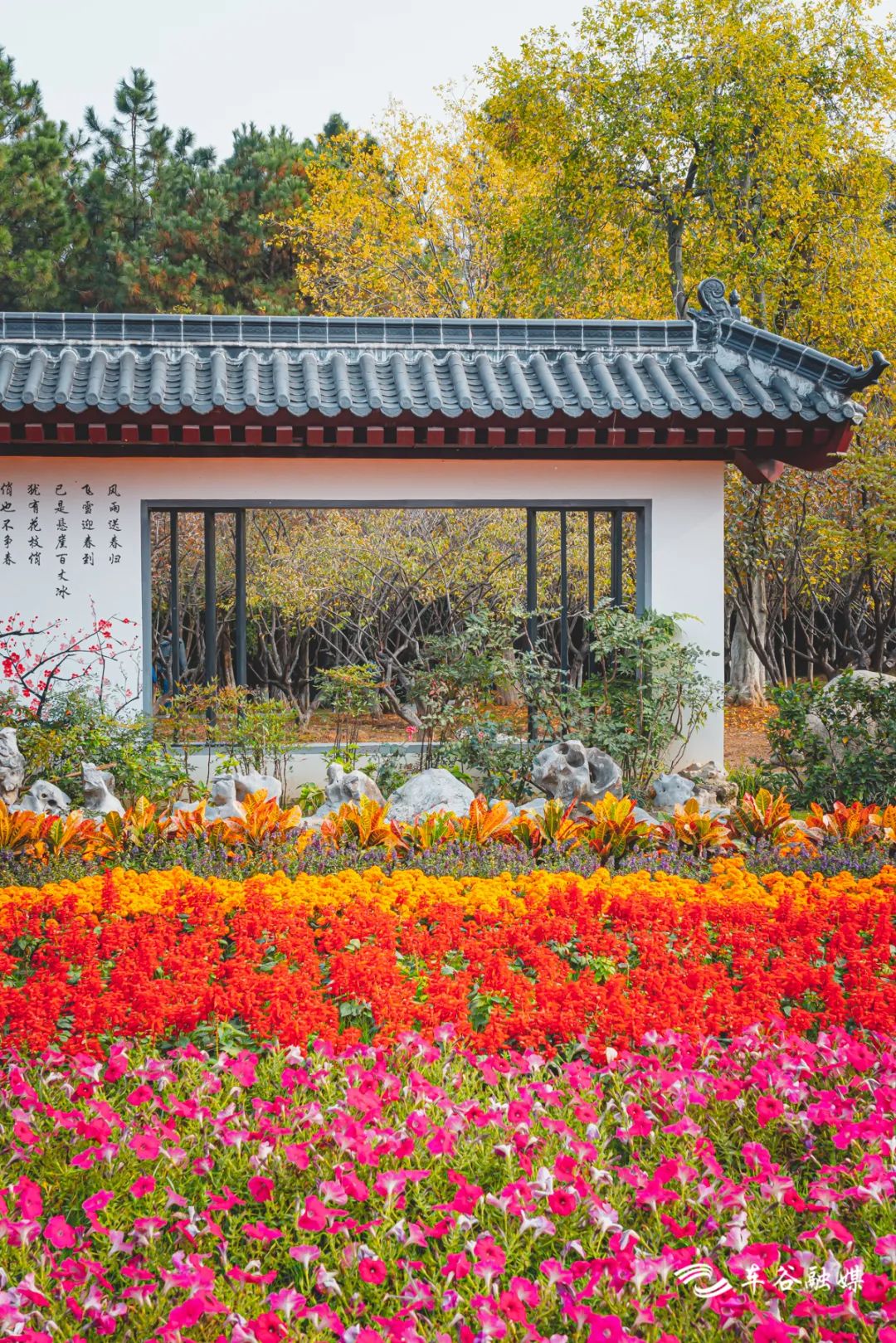 最美绿道骑行攻略,淘金山骑行绿道和东湖骑行绿道