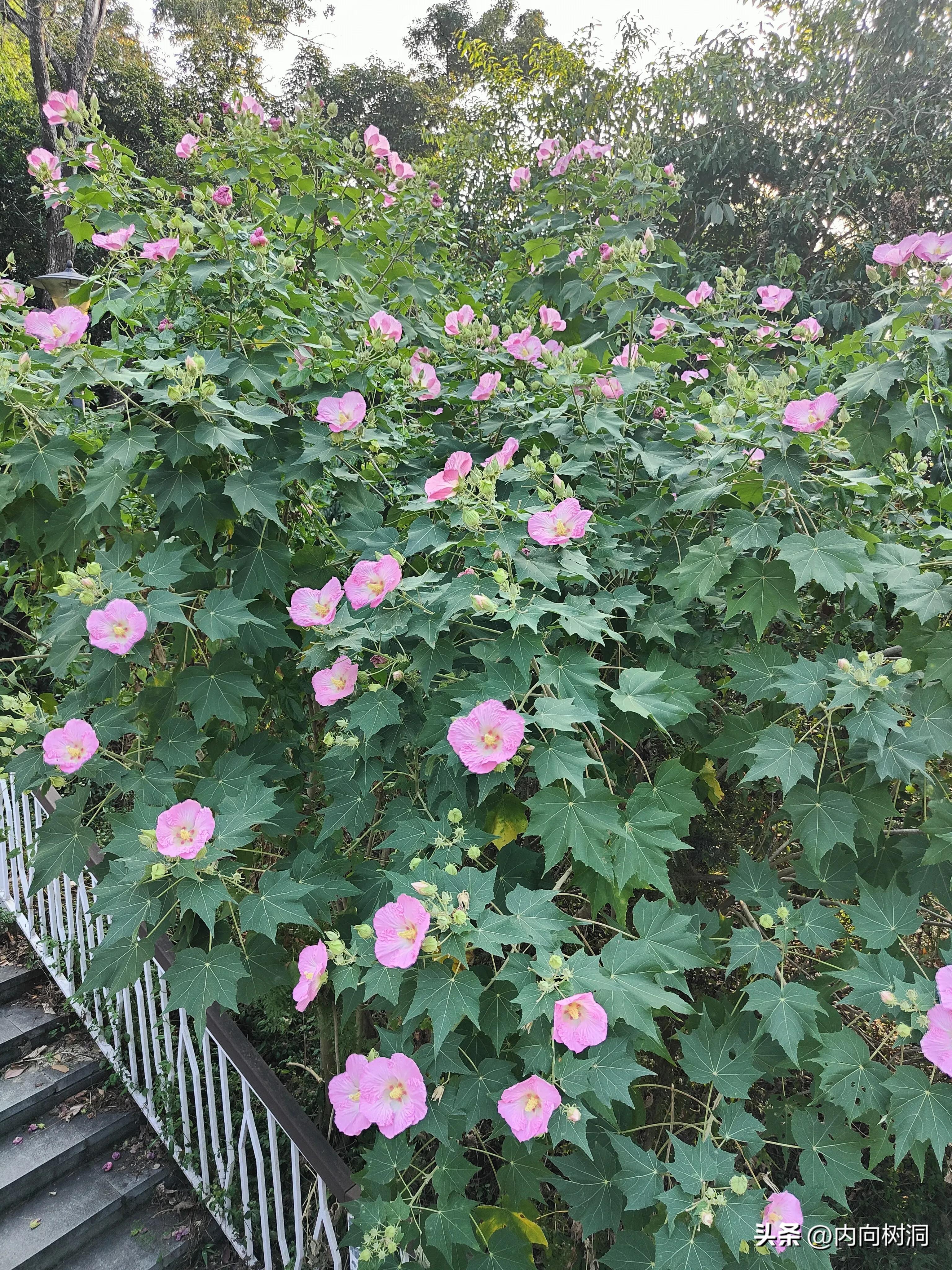 淘金山求水山徒步线路,求水山淘金山绿道在哪里