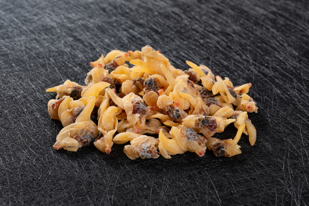 火速收藏！这里有一份中国吃螺图鉴