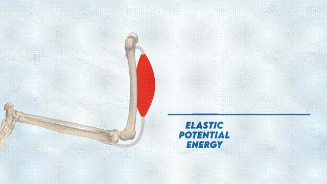 足球正确的发力方式,怎样踢球力量大