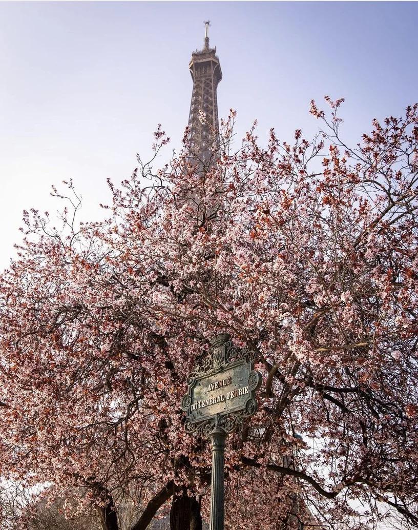 去巴黎的人一定要做好攻略,巴黎最全攻略