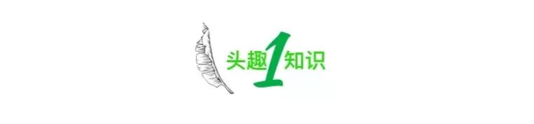 妈妈给女儿转200买小熊,妈妈发200给女儿买小熊