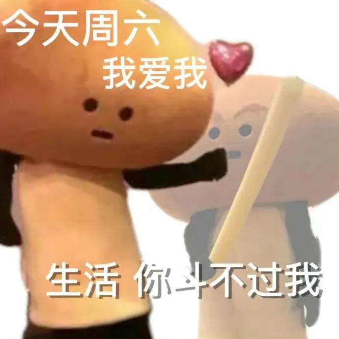 表情包今天你练车了吗,表情包今天是周五