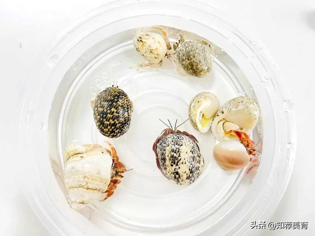 探寻桑蚕文化感受桑蚕之美,走进蚕桑研究所探寻蚕桑文化