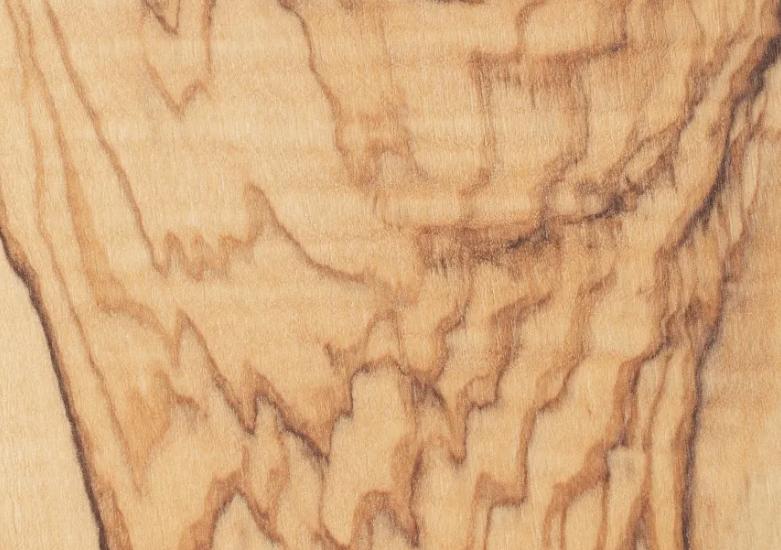 西班牙产出优质的橄榄的地理条件,橄榄种植历史