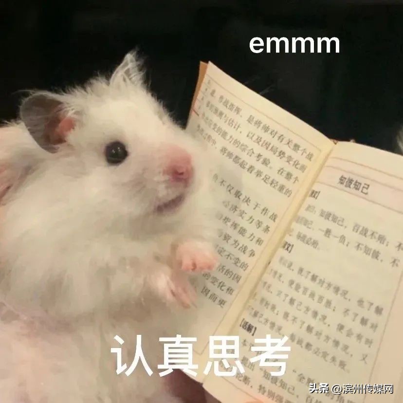 站起来眼前发黑是什么原因,站起来眼前发黑发晕是怎么回事