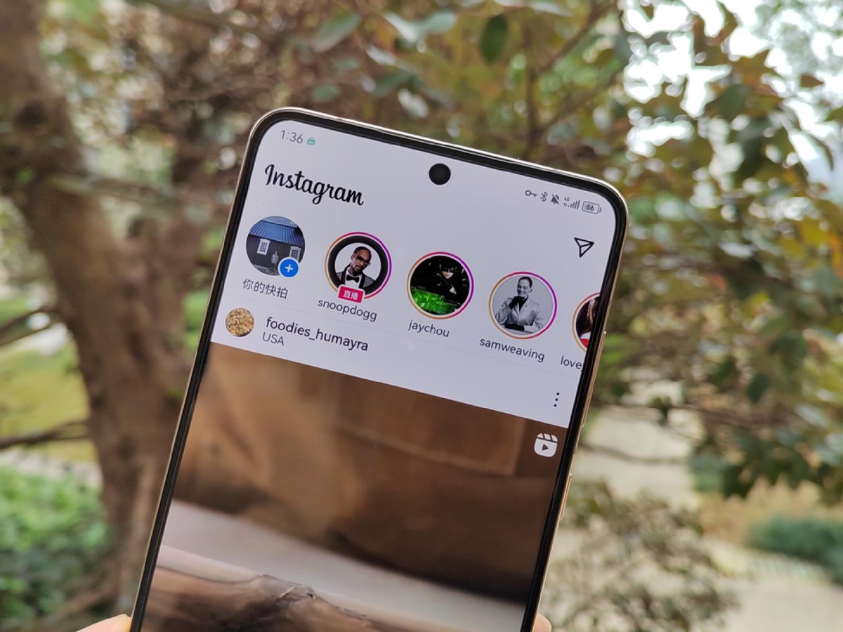 出境跟团游即将试点恢复,出境游跟团并不丢人