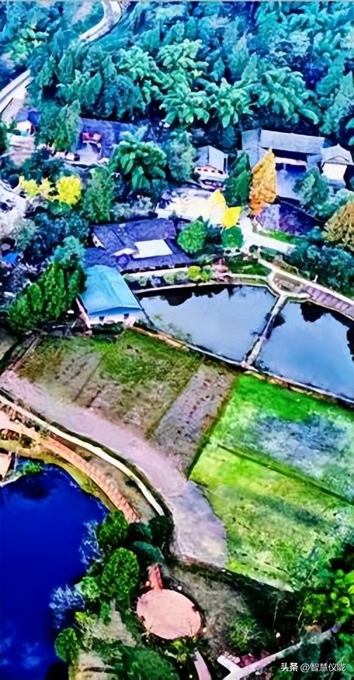 泰酷辣给人一种什么感觉,泰酷辣火了吗