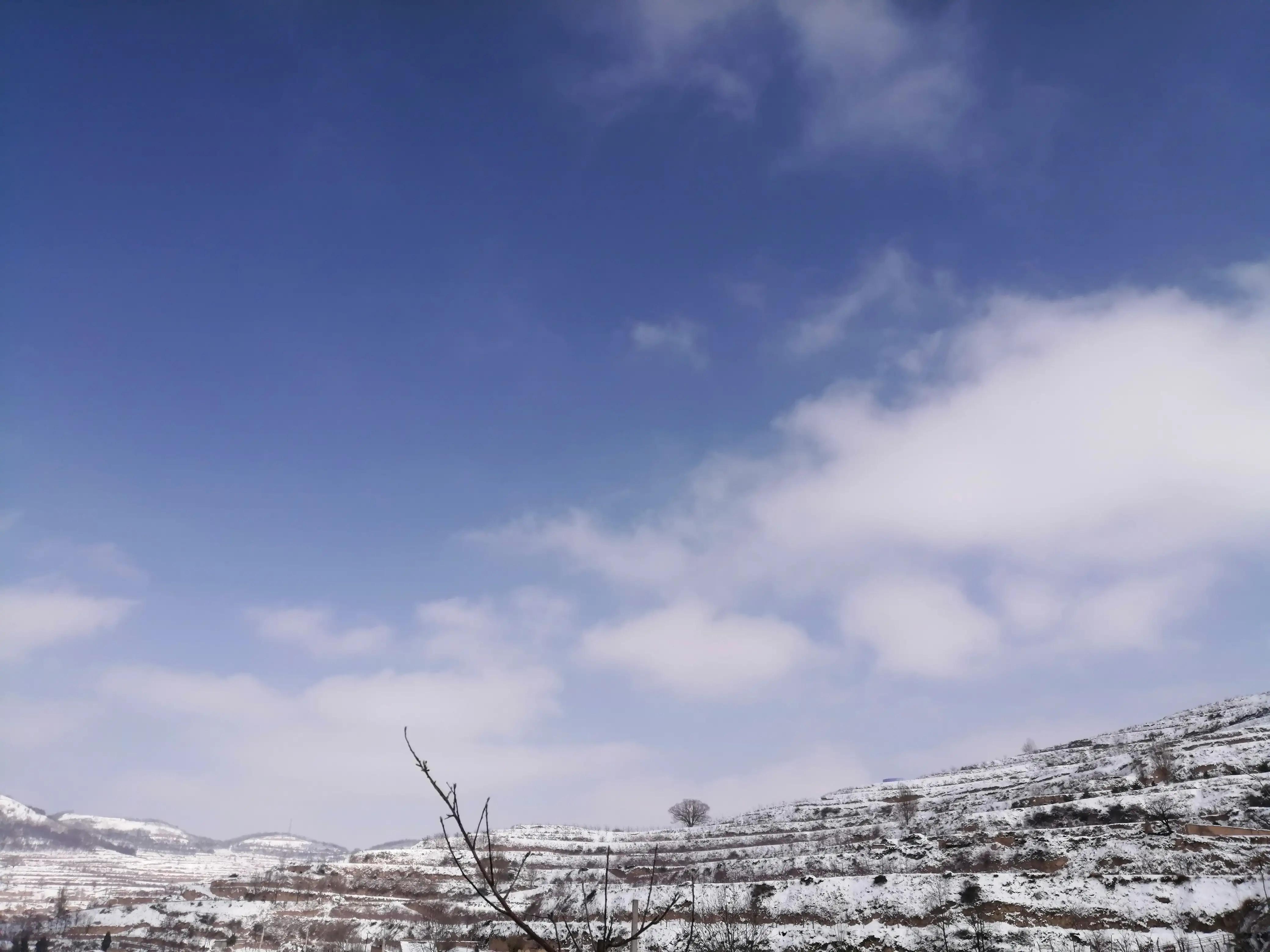 情人节和父母的感情,情人节跟父母怎么过才有意义呢