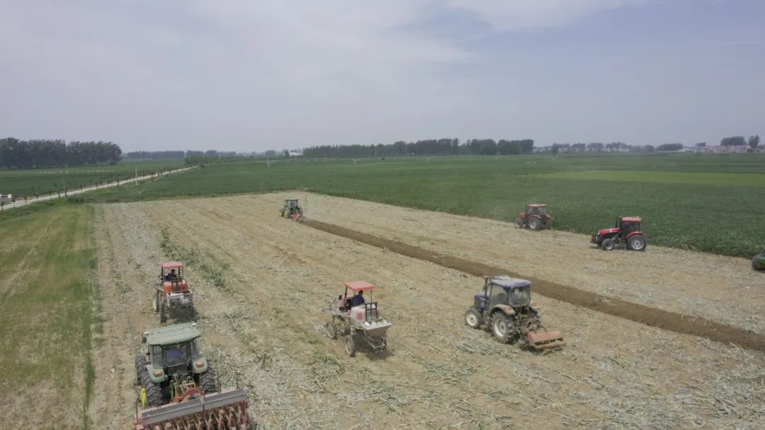 一只薯种出万元田！“*党**建+特色农业”让资源贫乏村“点”亮“薯”光大道