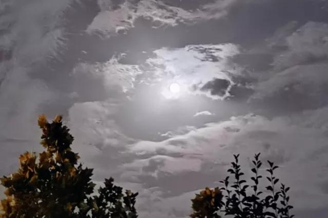 散文陪伴是最长情,散文陪母亲重游荒废已久的母校