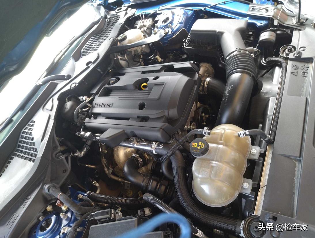 小伙子买了一台福特野马,小伙子买福特野马