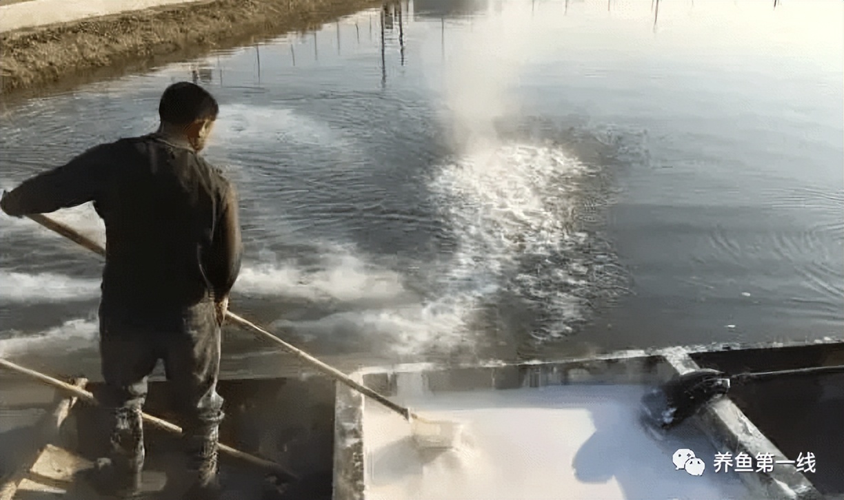 养殖鱼类细菌性败血症预防方法,鱼类细菌性败血症传染吗