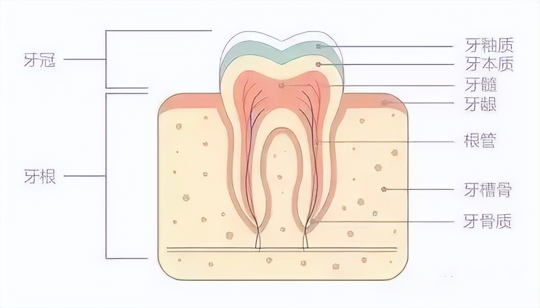 牙齿美白神器真的靠谱吗,牙齿美白产品测评真实有效