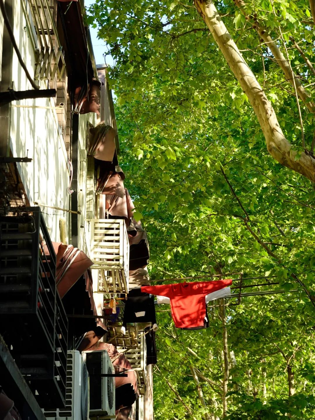 90后不结婚95后不恋爱,为什么95后不愿意谈恋爱