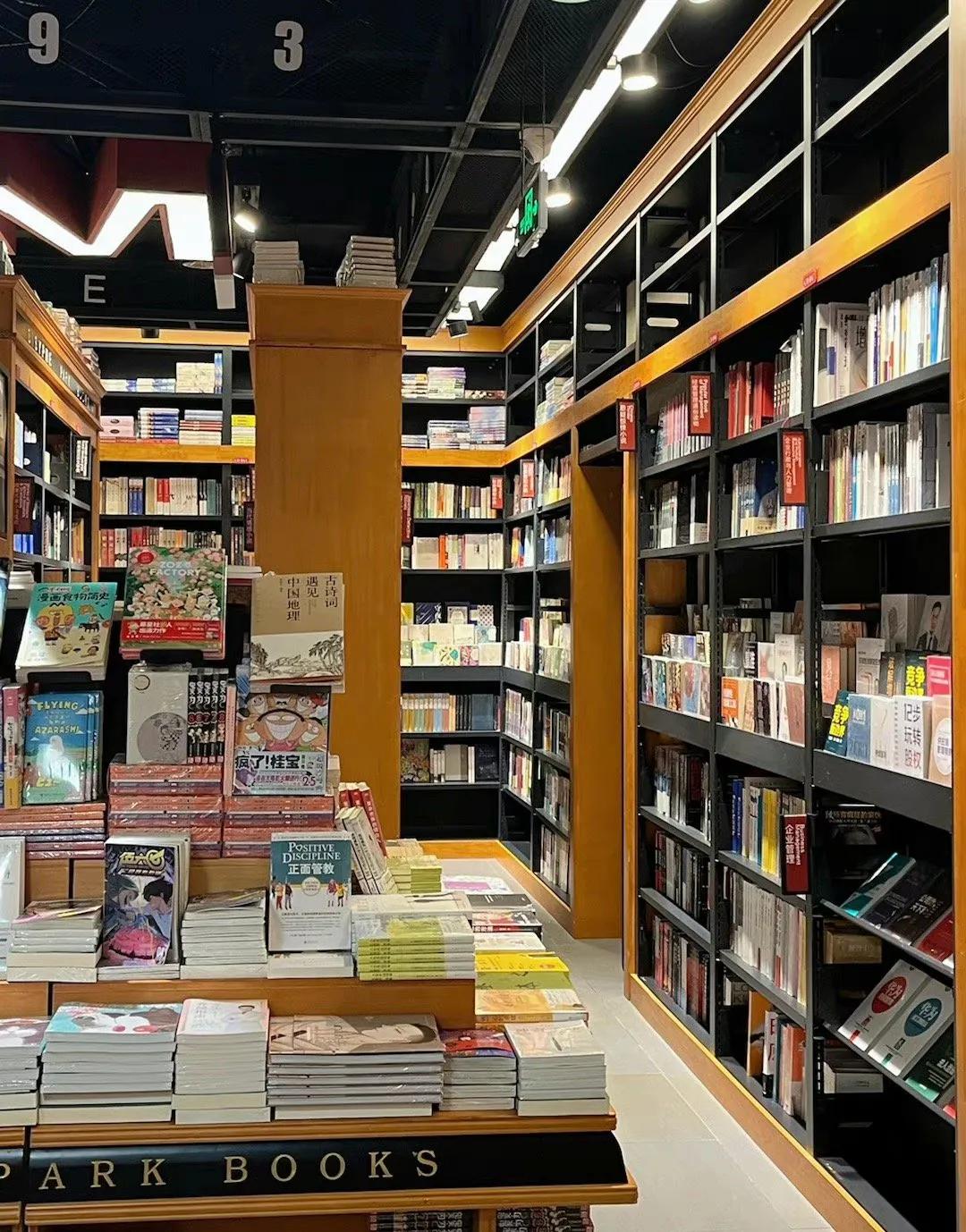 站在自己擅长的领域闪闪发光,站在自己的领域熠熠生辉