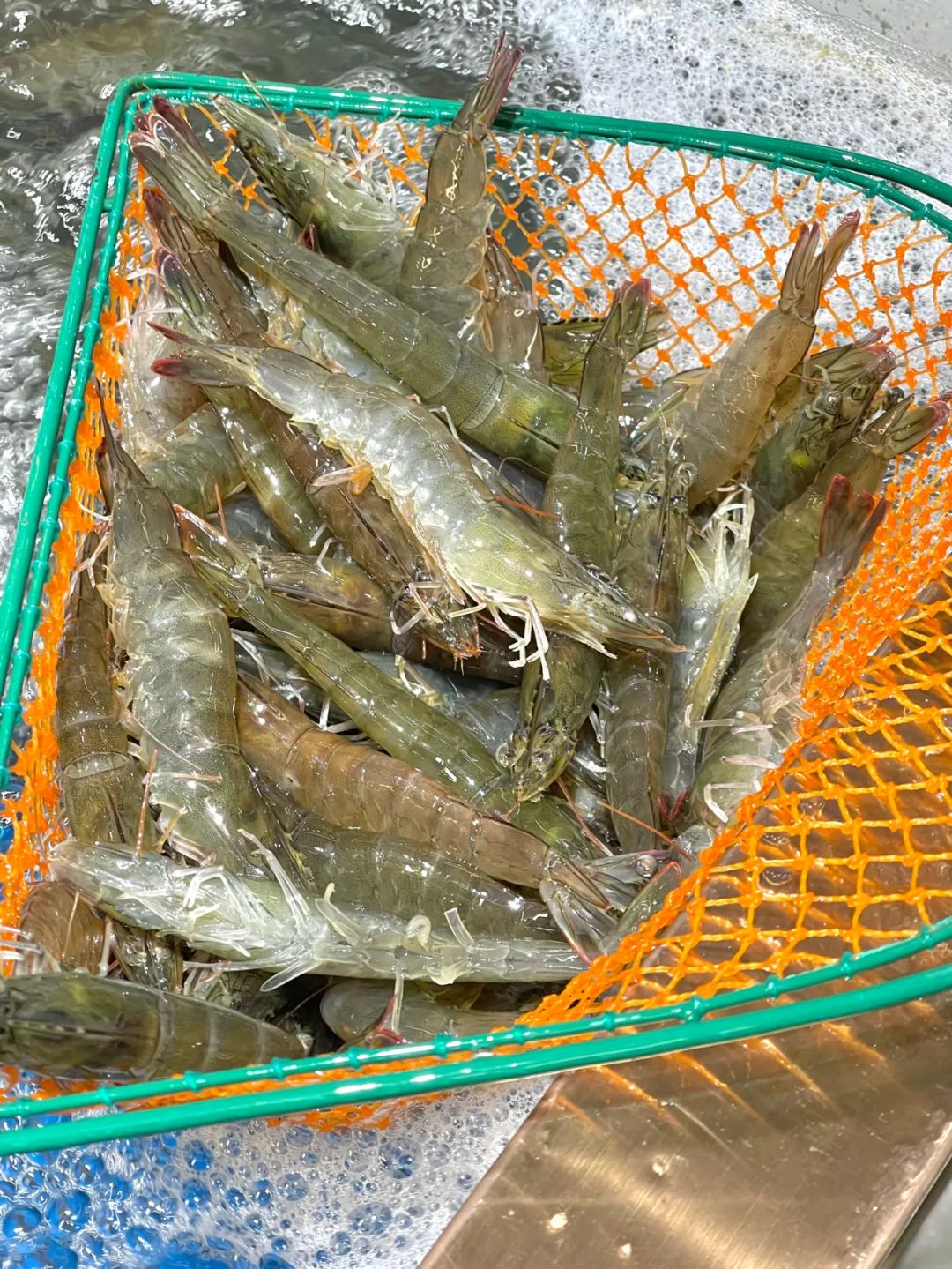 七鲜超市天津滨江购物中心店,七鲜超市天津必买