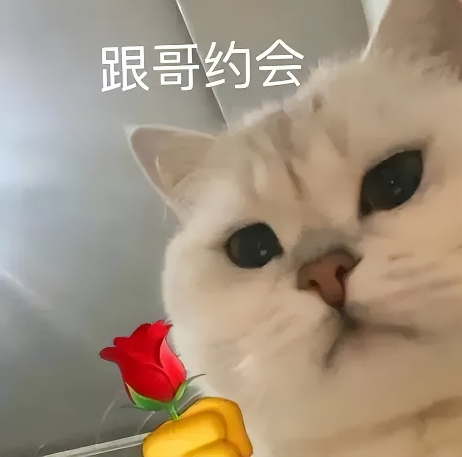 贩剑表情包评论区,贩剑表情包不回消息