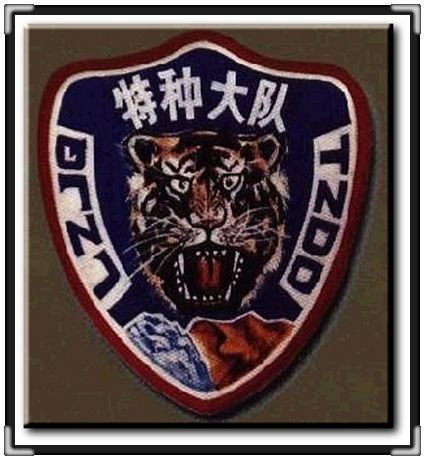 虎年说虎的文章,虎年限定分别代表的老虎