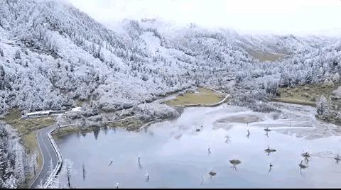 2023年是黑兔年是不是灾难多,2023年是黑兔劫吗